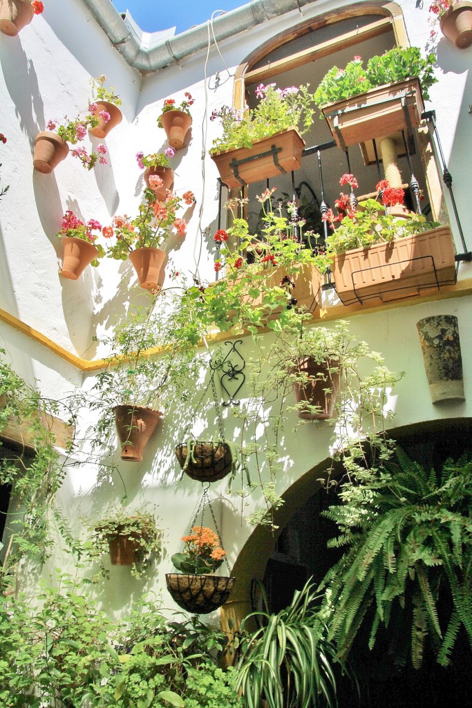 Foto: Concurso de patios 2015 - Córdoba (Andalucía), España