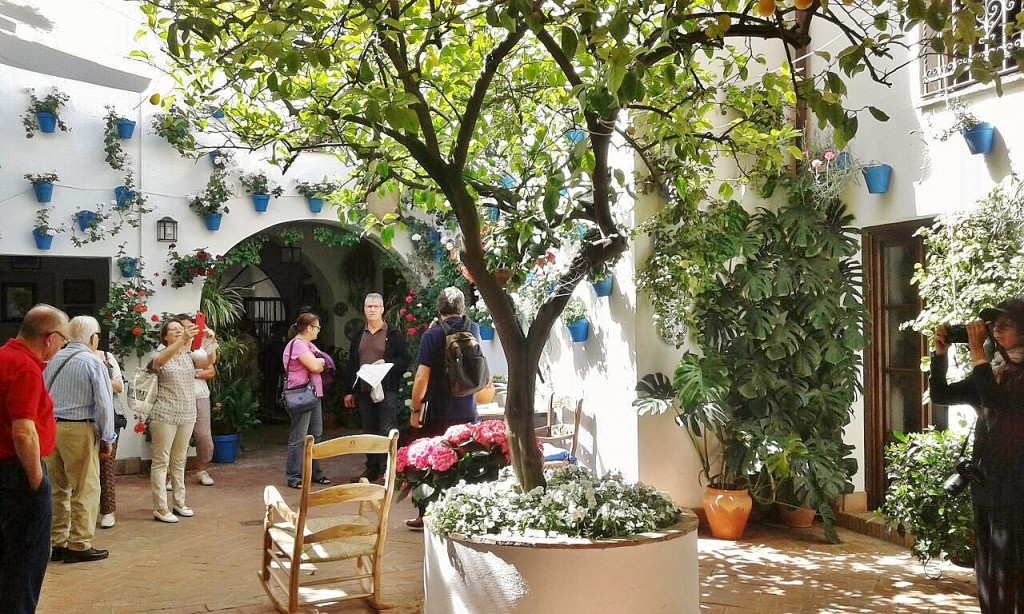 Foto: Concurso de patios 2015 - Córdoba (Andalucía), España