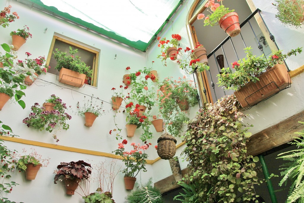 Foto: Concurso de patios 2015 - Córdoba (Andalucía), España