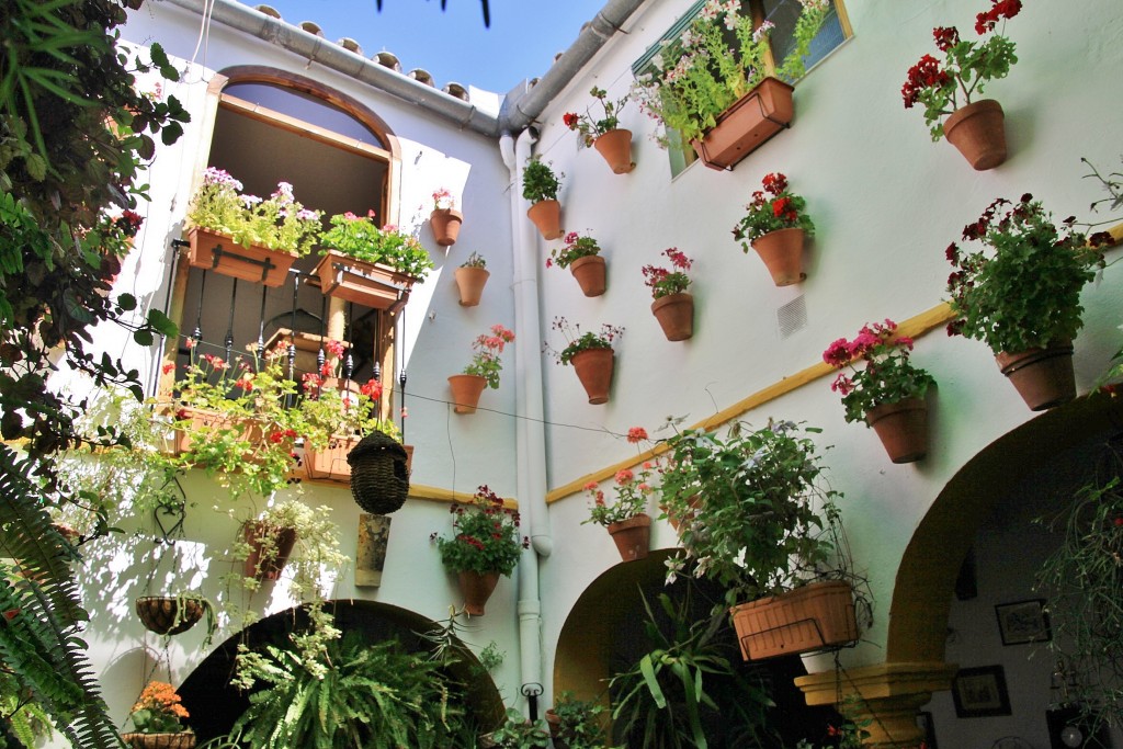 Foto: Concurso de patios 2015 - Córdoba (Andalucía), España