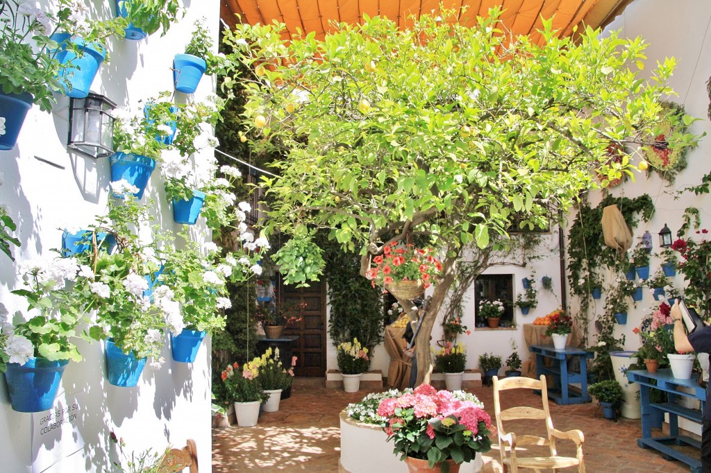 Foto: Concurso de patios 2015 - Córdoba (Andalucía), España