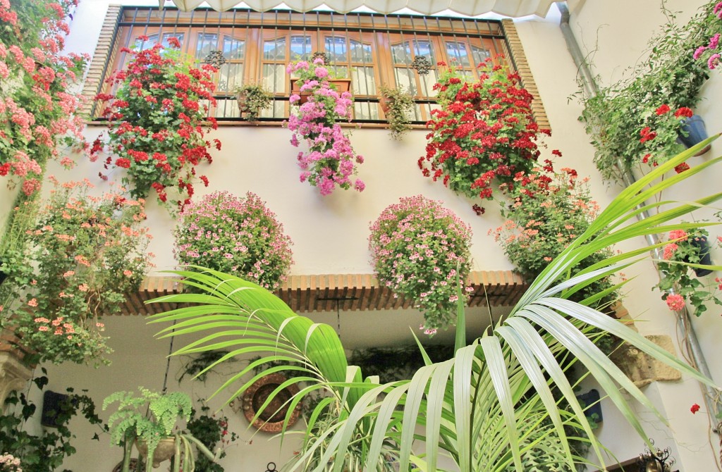 Foto: Concurso de patios 2015 - Córdoba (Andalucía), España