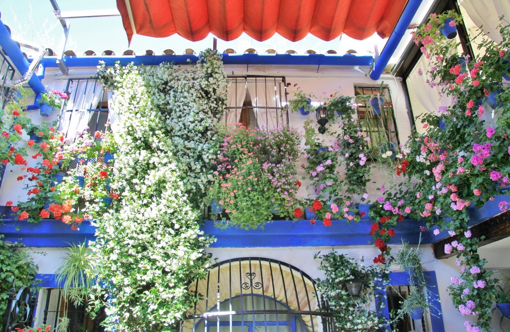 Foto: Concurso de patios 2015 - Córdoba (Andalucía), España