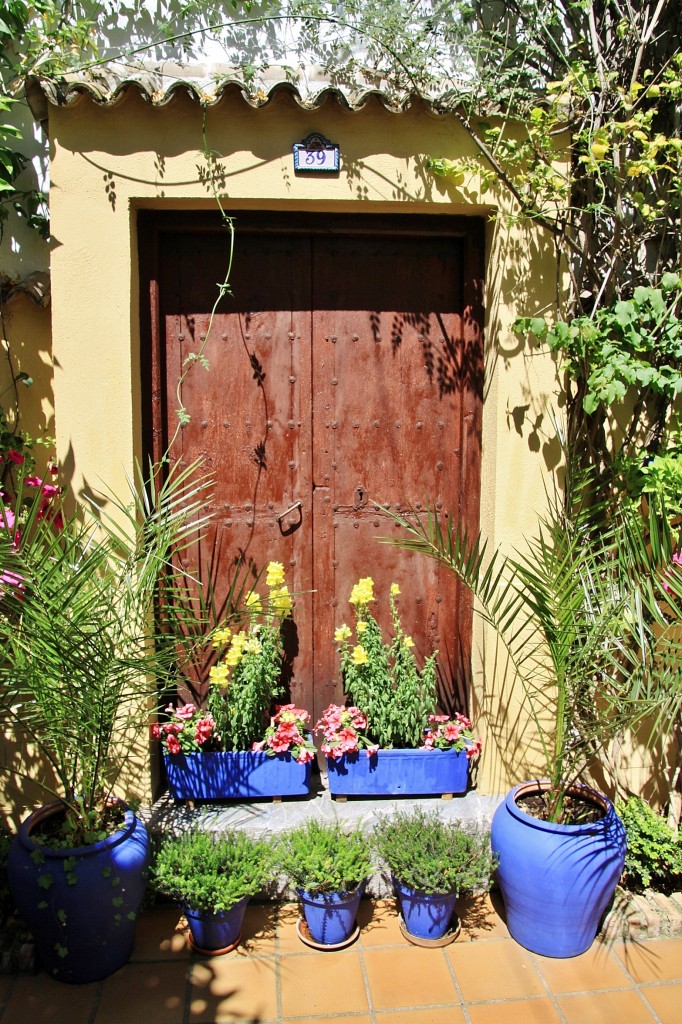 Foto: Concurso de patios 2015 - Córdoba (Andalucía), España