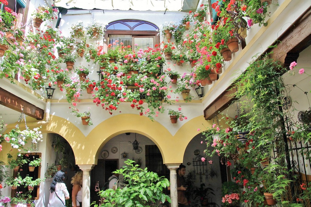 Foto: Concurso de patios 2015 - Córdoba (Andalucía), España