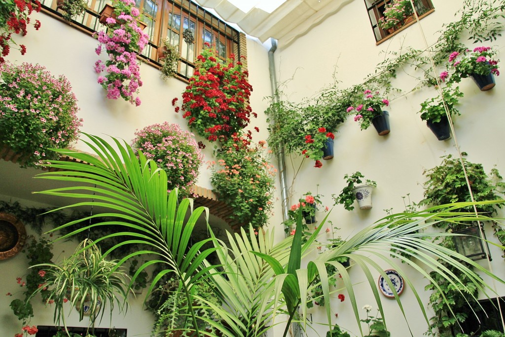 Foto: Concurso de patios 2015 - Córdoba (Andalucía), España