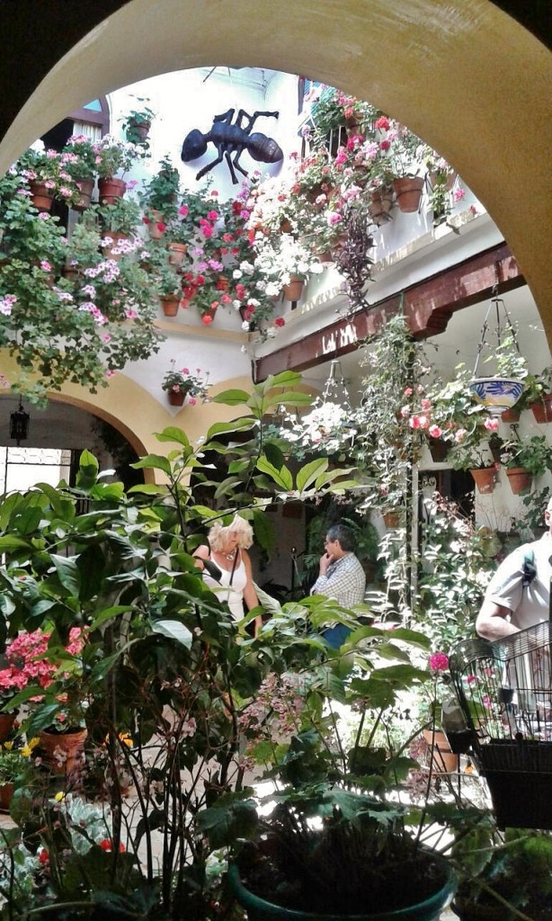 Foto: Concurso de patios 2015 - Córdoba (Andalucía), España