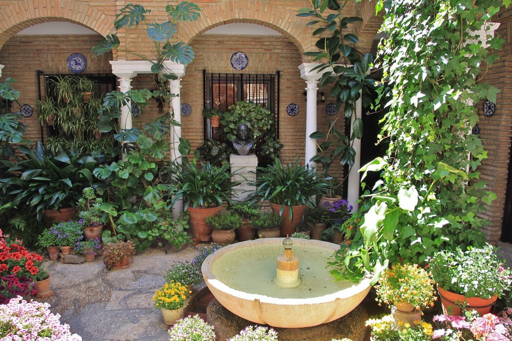 Foto: Concurso de patios - Córdoba (Andalucía), España