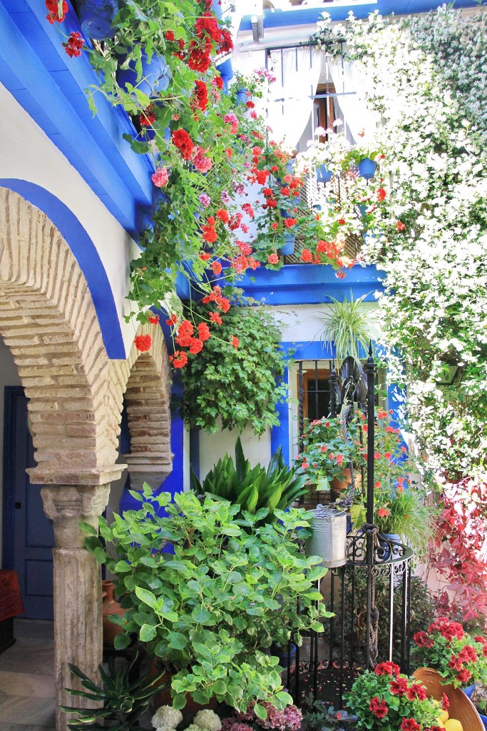 Foto: Concurso de patios 2015 - Córdoba (Andalucía), España