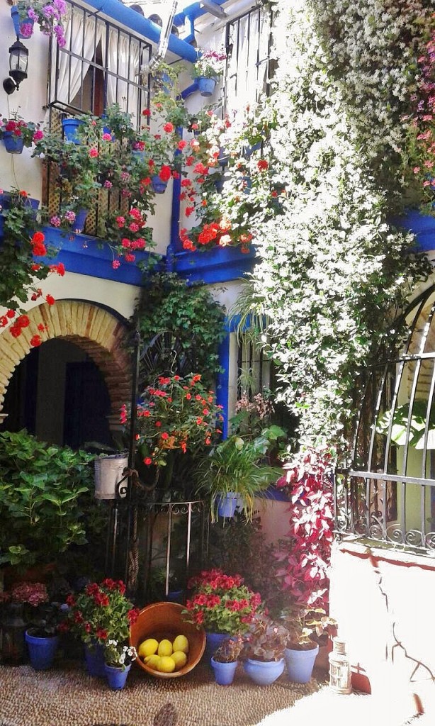 Foto: Cocrso de patios 2015 - Córdoba (Andalucía), España