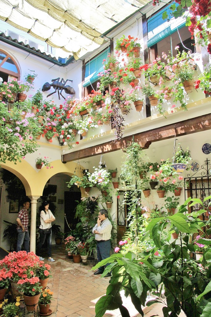 Foto: Concurso de patios 2015 - Córdoba (Andalucía), España