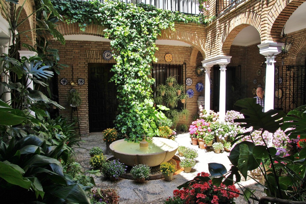 Foto: Concurso de patios 2015 - Córdoba (Andalucía), España