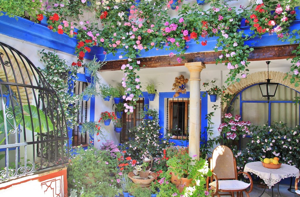 Foto: Concurso de patios 2015 - Córdoba (Andalucía), España