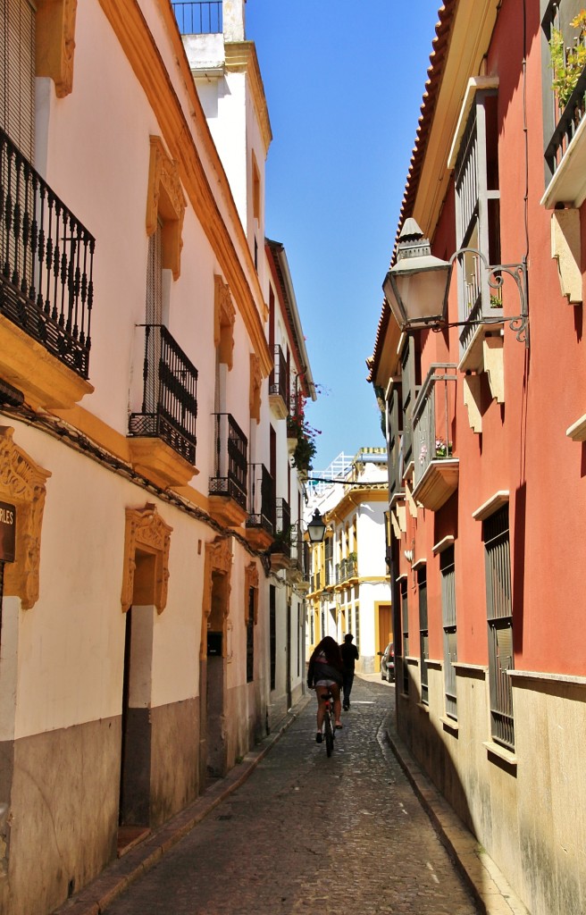 Foto: Concurso de patios 2015 - Córdoba (Andalucía), España