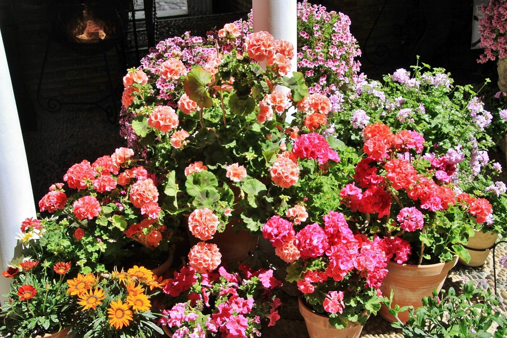 Foto: Concurso de patios 2015 - Córdoba (Andalucía), España