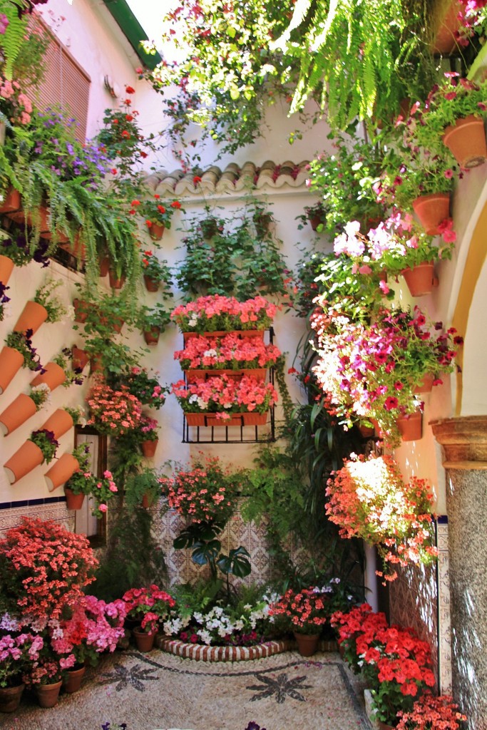 Foto: Concurso de patios 2015 - Córdoba (Andalucía), España