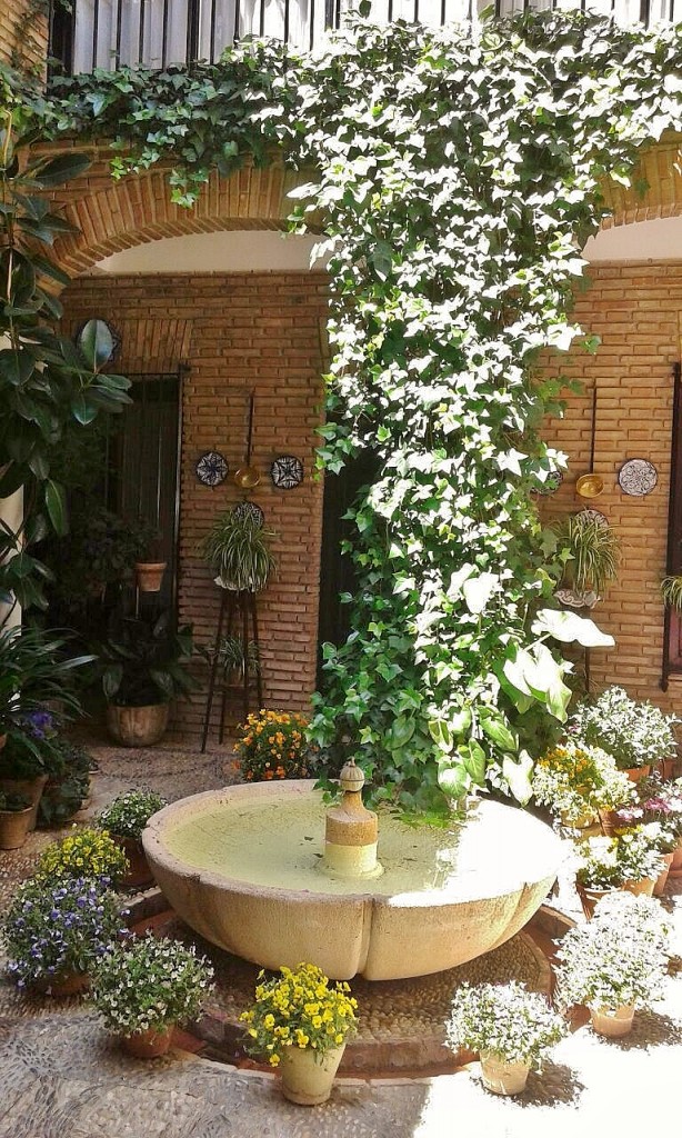 Foto: Concurso de patios 2015 - Córdoba (Andalucía), España