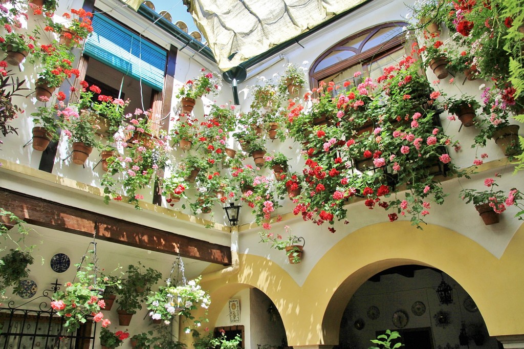 Foto: Concurso de patios 2015 - Córdoba (Andalucía), España