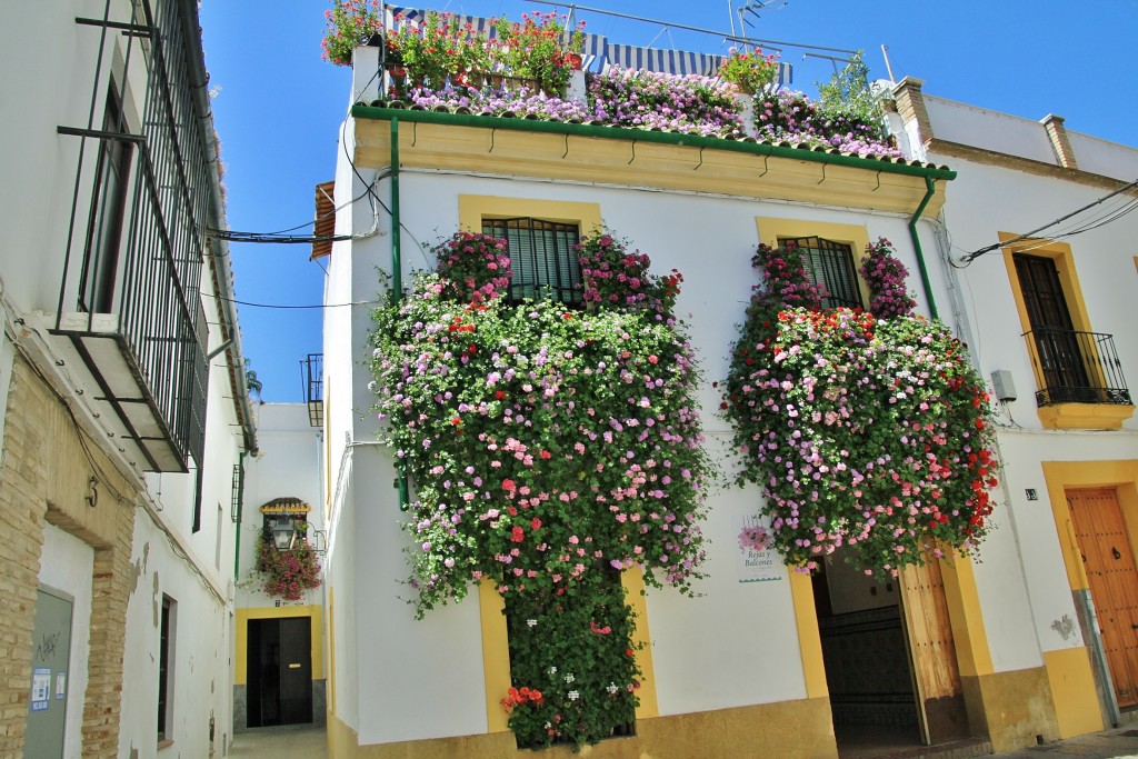 Foto: Centro histórico - Córdoba (Andalucía), España