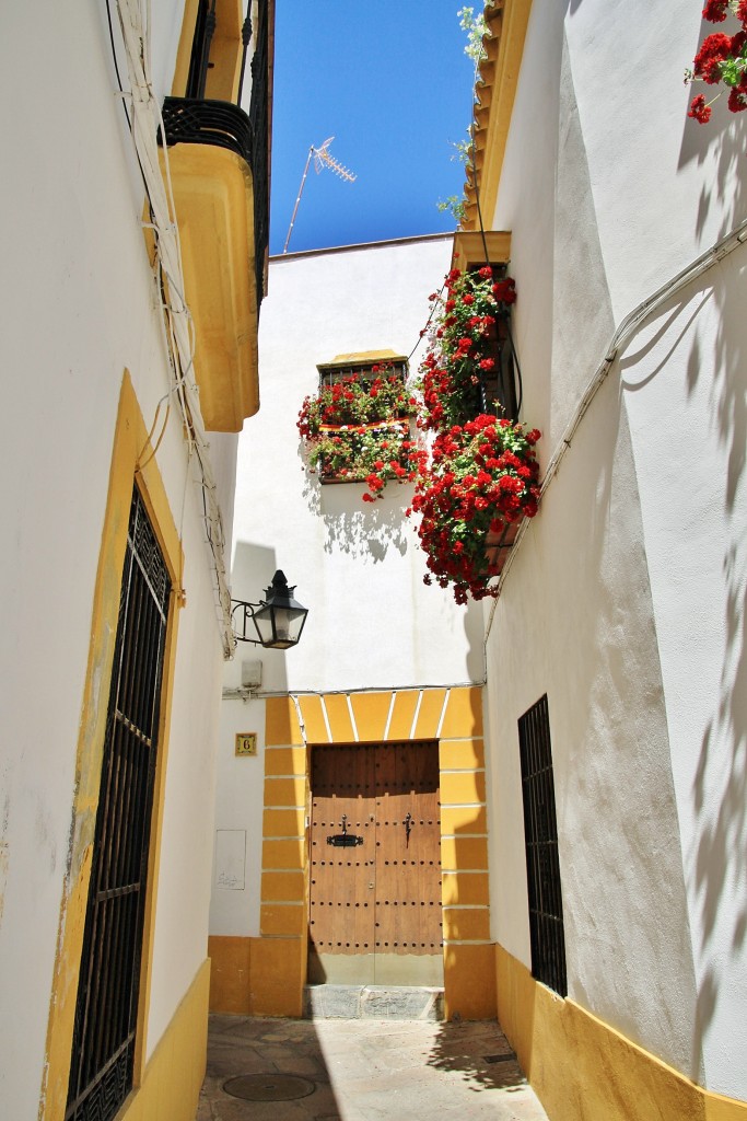 Foto: Centro histórico - Córdoba (Andalucía), España