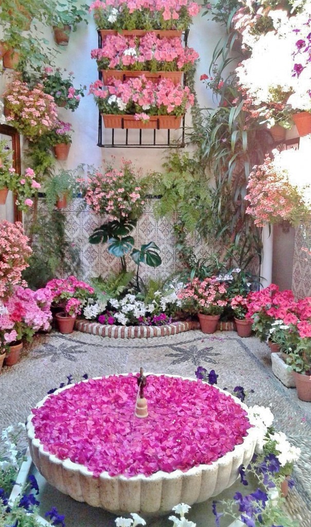 Foto: Concurso de patios 2015 - Córdoba (Andalucía), España