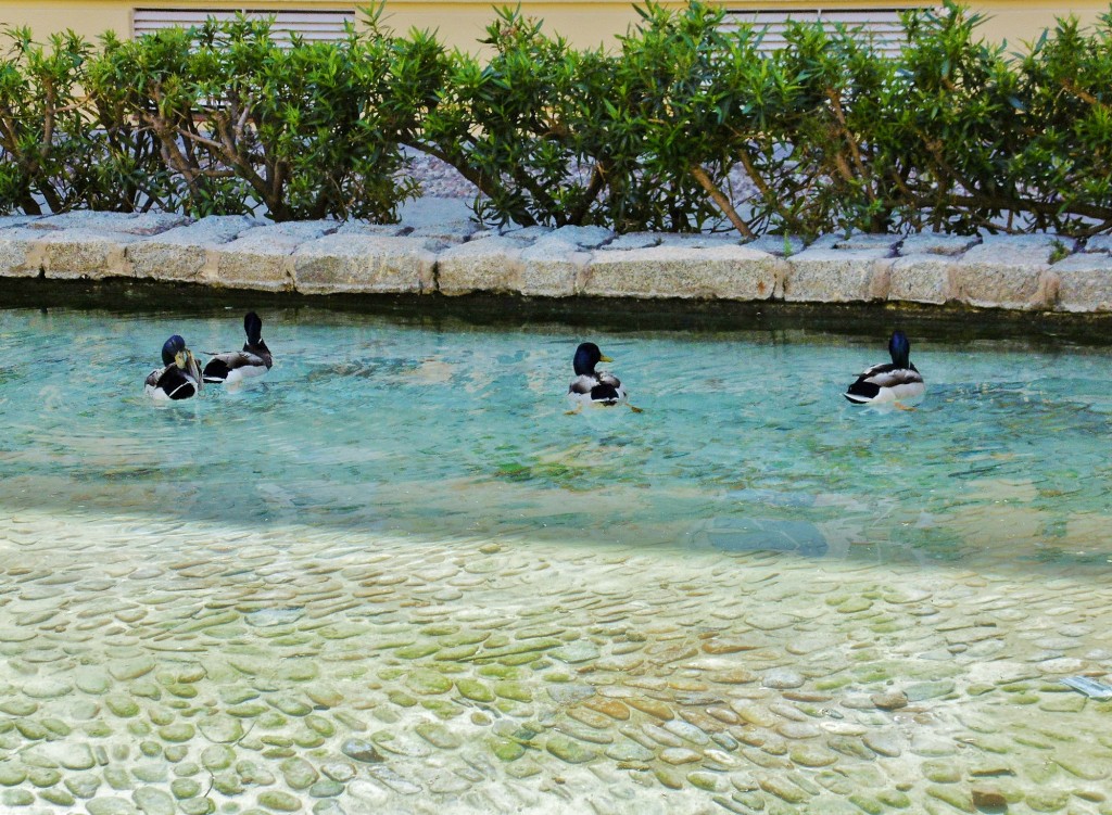 Foto: Parque de las murallas - Córdoba (Andalucía), España