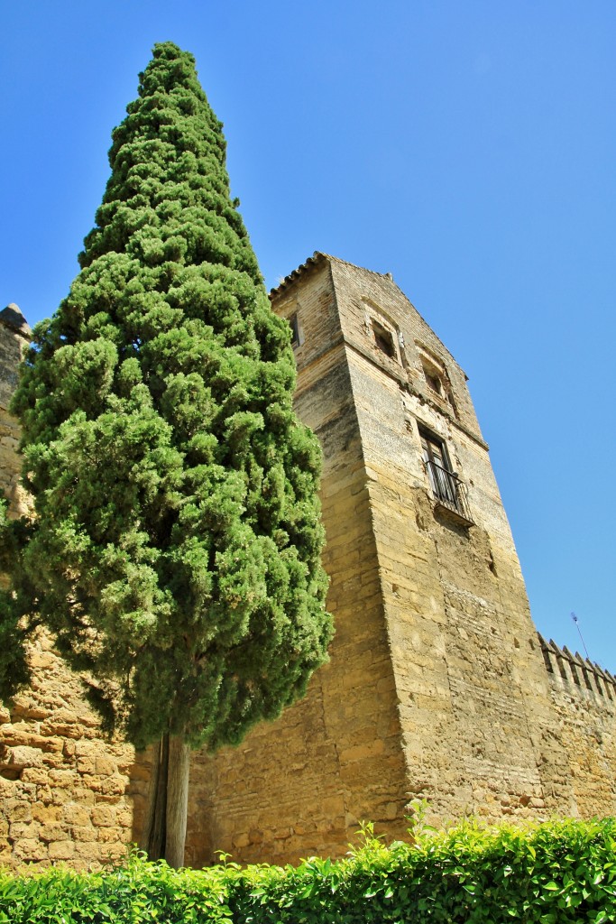 Foto: Muralla - Córdoba (Andalucía), España