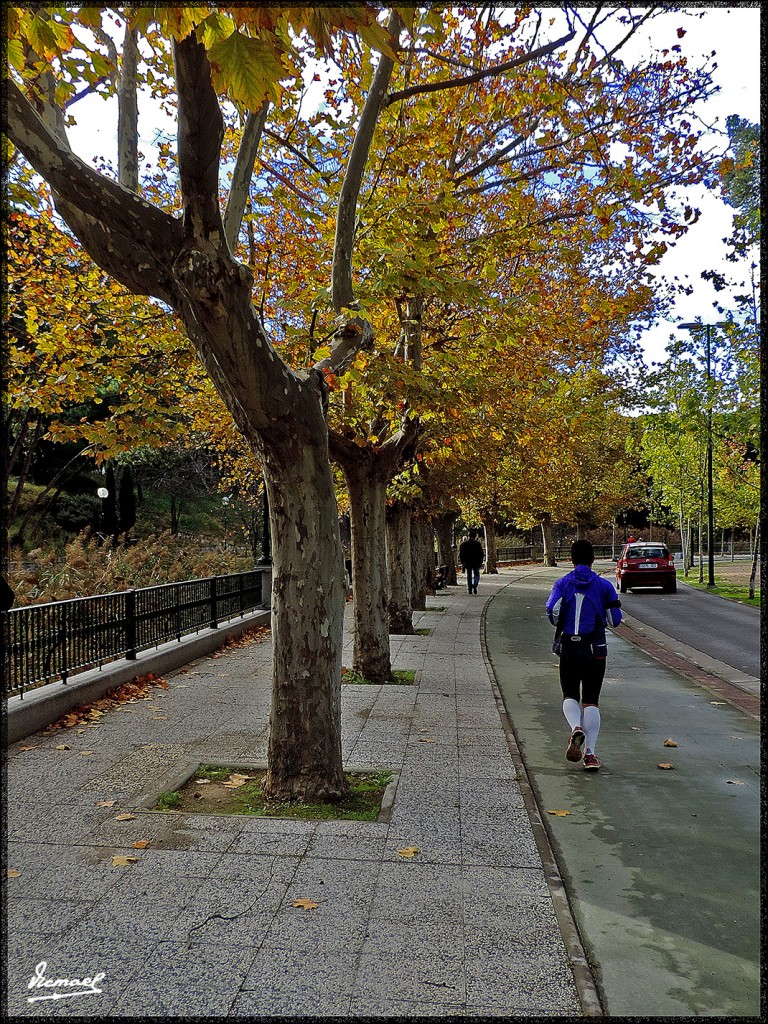 Foto: 151122-04 ZARAGOZA CANAL - Zaragoza (Aragón), España