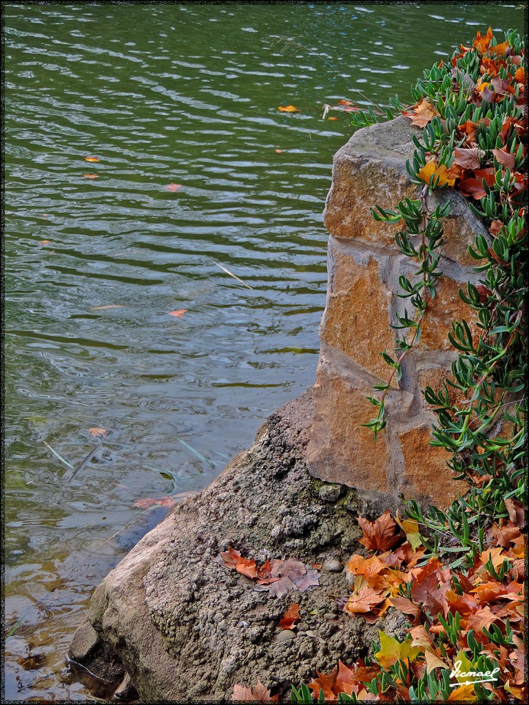 Foto: 151122-15 ZARAGOZA CANAL - Zaragoza (Aragón), España