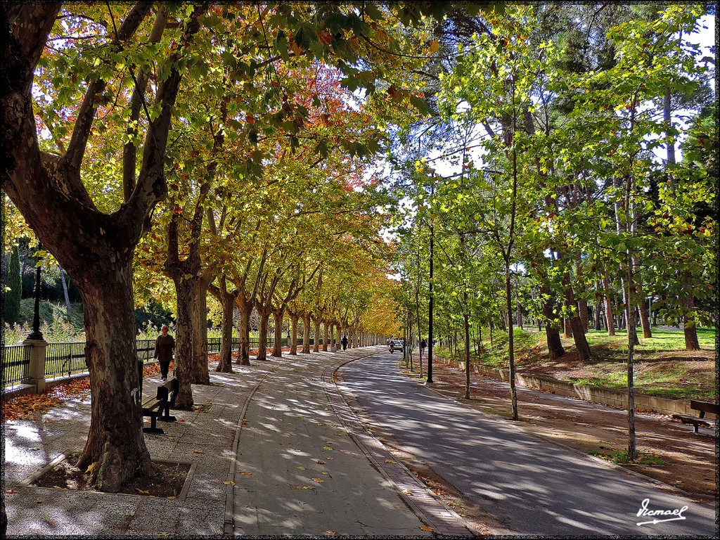 Foto: 151122-27 ZARAGOZA CANAL - Zaragoza (Aragón), España