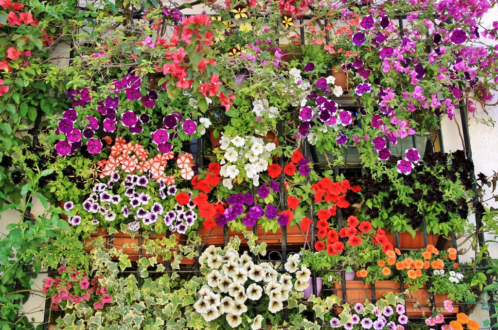 Foto: Jardín de la muralla - Córdoba (Andalucía), España