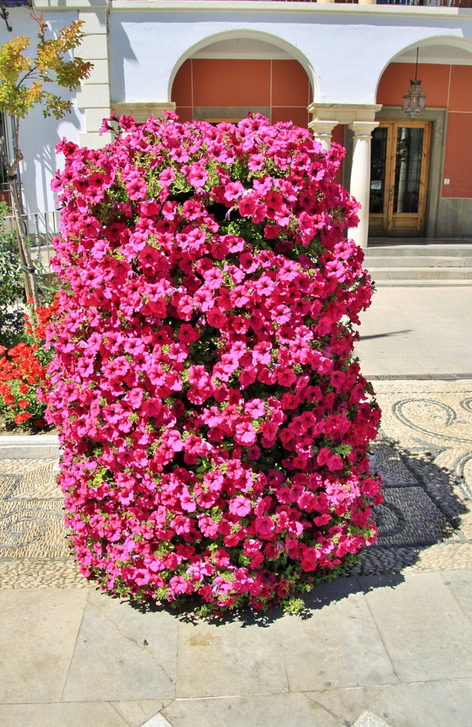 Foto: Vista del pueblo - Priego (Córdoba), España