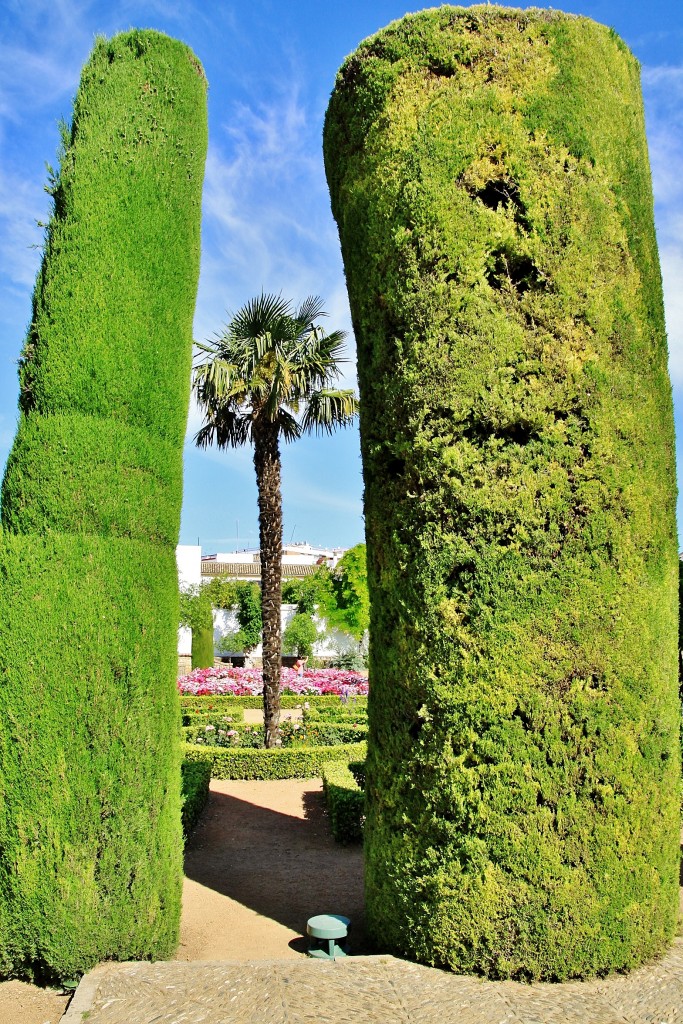 Foto: Jardines del alcazar de los reyes Cristianos - Córdoba (Andalucía), España