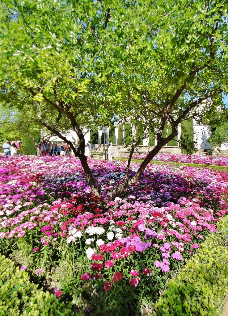 Foto: Jardines del alcazar de los reyes Cristianos - Córdoba (Andalucía), España