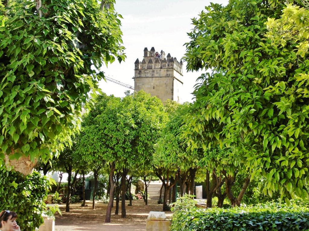 Foto: Jardines del alcazar de los reyes Cristianos - Córdoba (Andalucía), España