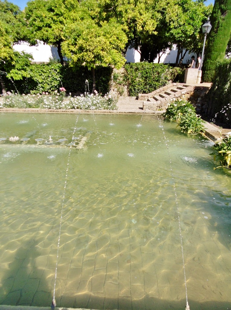 Foto: Jardines del alcazar de los reyes Cristianos - Córdoba (Andalucía), España