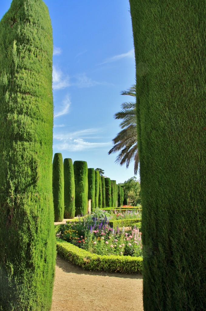 Foto: Jardines del alcazar de los reyes Cristianos - Córdoba (Andalucía), España