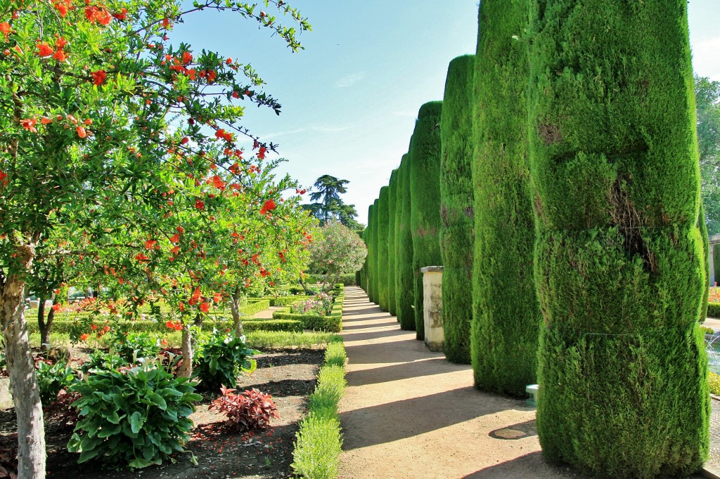 Foto: Jardines del alcazar de los reyes Cristianos - Córdoba (Andalucía), España