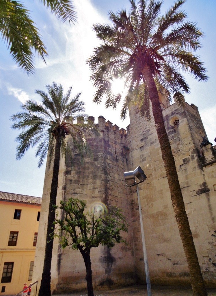 Foto: Alcazar de los reyes Cristianos - Córdoba (Andalucía), España