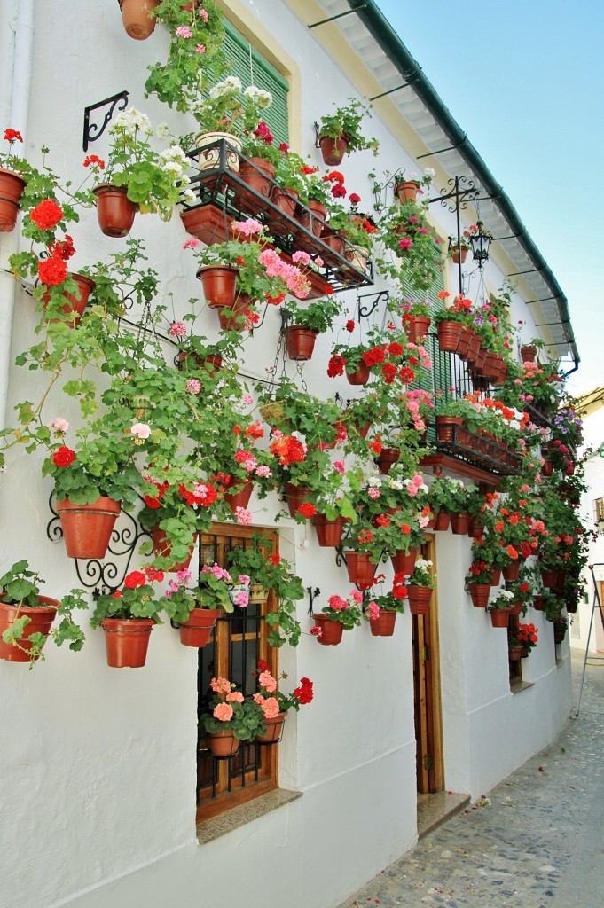 Foto: Centro histórico - Priego (Córdoba), España