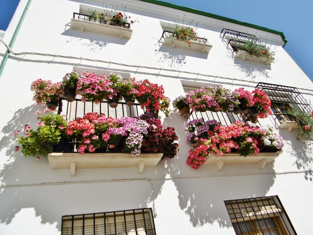 Foto: Centro histórico - Priego (Córdoba), España