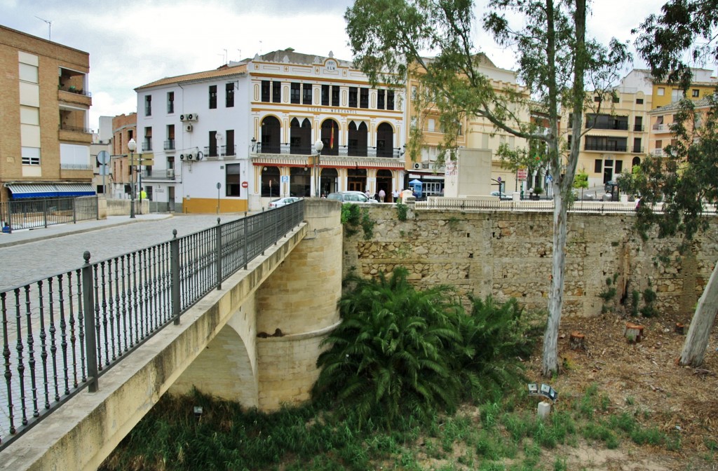 Foto: Vista del pueblo - Puente Genil (Córdoba), España