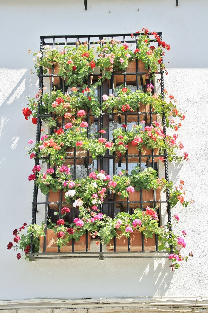 Foto: Centro histórico - Córdoba (Andalucía), España