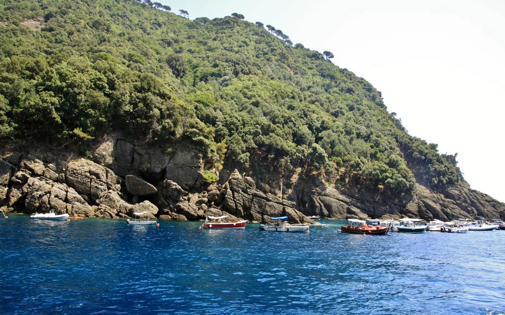 Foto: Navegando - Camogli (Liguria), Italia