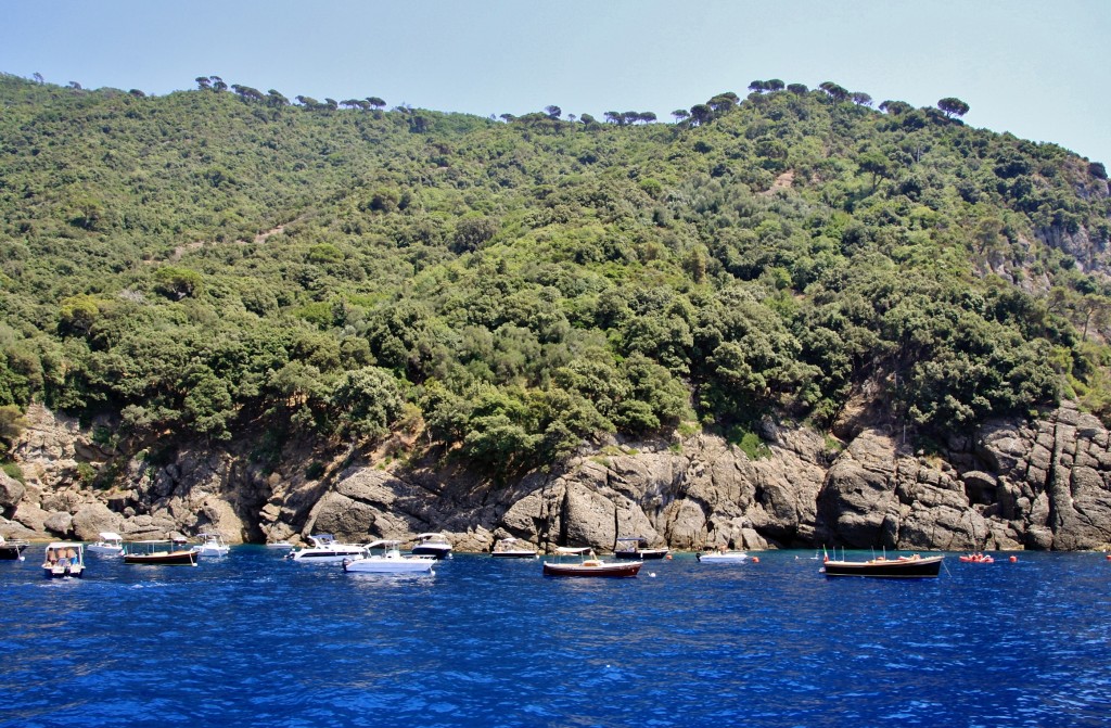 Foto: Navegando - Camogli (Liguria), Italia