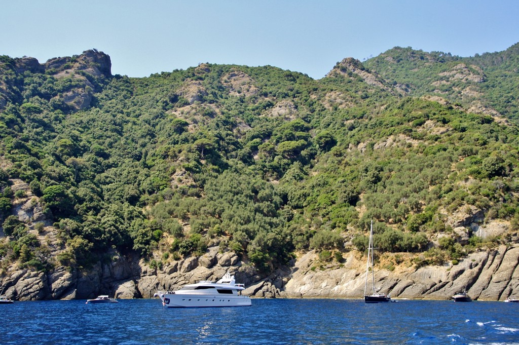 Foto: Navegando - Camogli (Liguria), Italia