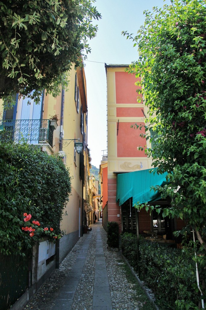 Foto: Vista del pueblo - Portofino (Liguria), Italia