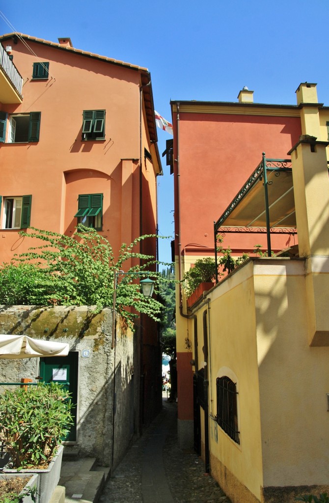 Foto: Vista del pueblo - Portofino (Liguria), Italia