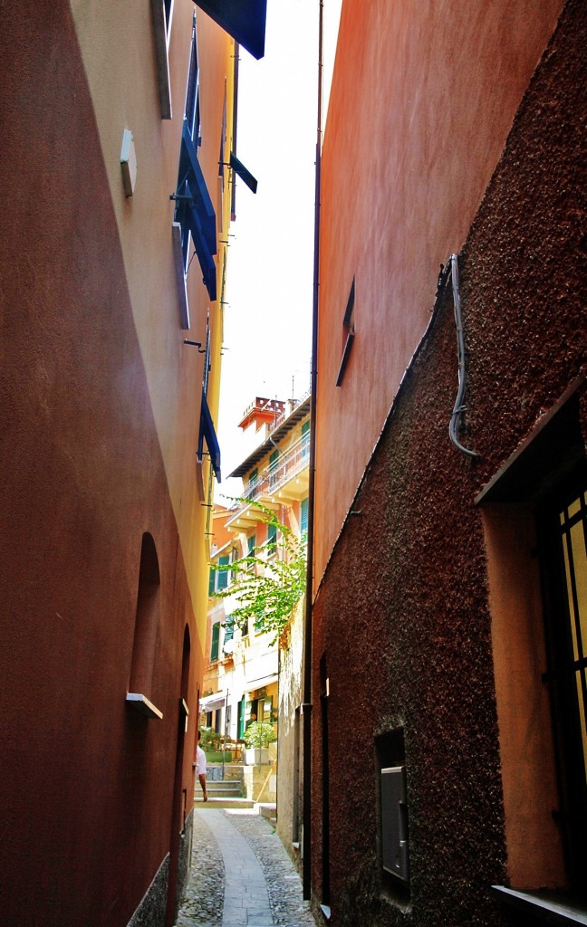 Foto: Vista del pueblo - Portofino (Liguria), Italia