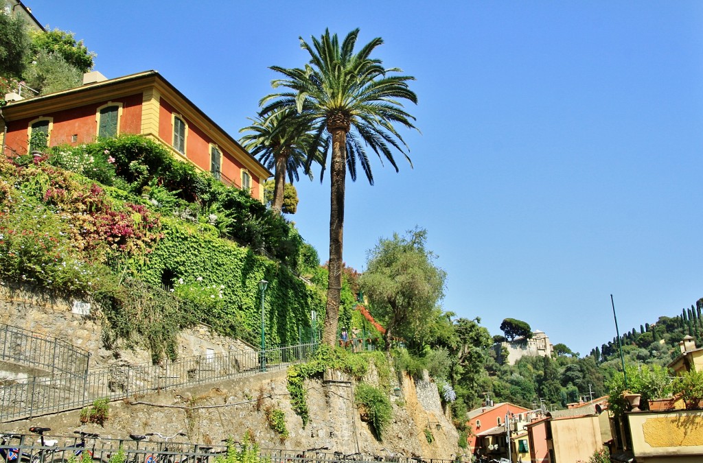 Foto: Vista del pueblo - Portofino (Liguria), Italia